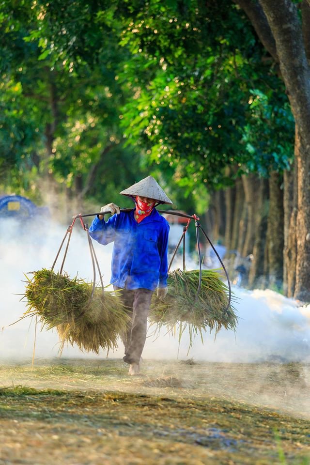 Hà[-]Tây[-]bình[-]dị[-]và[-]thơ[-]mộng[-]dưới[-]ống[-]kính[-]nhiếp[-]ảnh[-]gia[-]Nguyễn[-]Đình[-]Thành